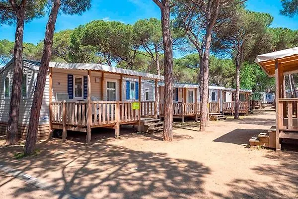 Kamp alanı Camping Neptuno Pals